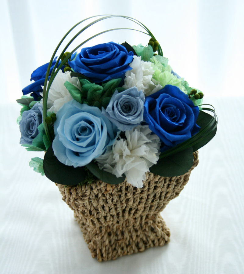 Ｂｌｕｅ Ｇａｒｄｅｎ
